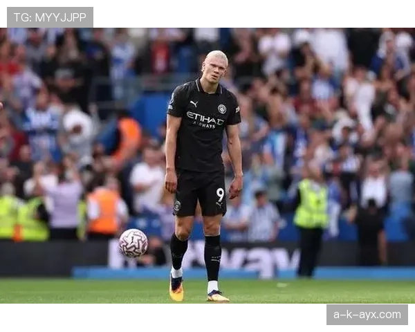 哈兰德哈兰德时代