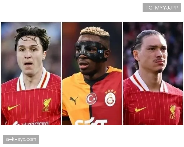 努涅斯与奥斯梅恩对比：全面性体现在战术角色还是数据贡献？